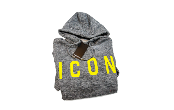 DSQuared2 Sweat hood Gris melange Icon